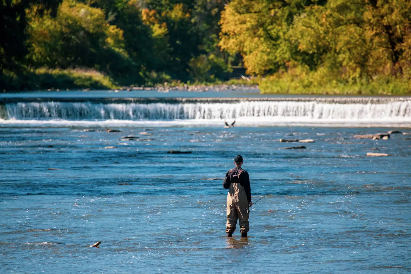 Fall Fishing in Canada 2024: Best Spots, Tips, and Rules for an Unforgettable Experience